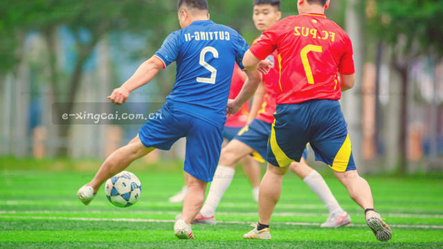 2026版下载通道核验